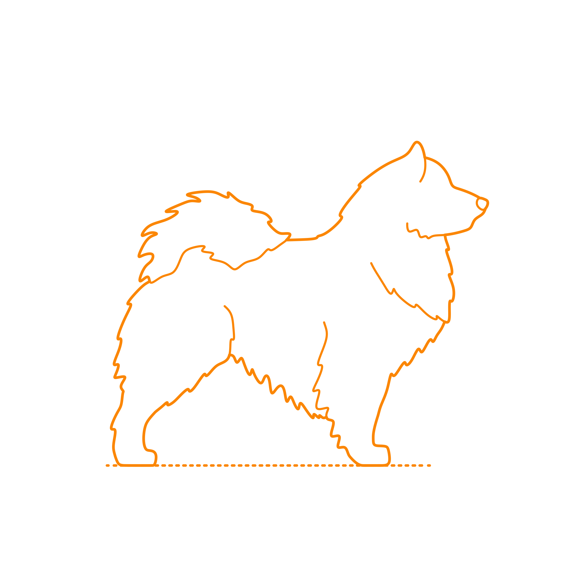 Animals Dogs Icelandic Sheepdog Stencil Svg Vector Free Vectors